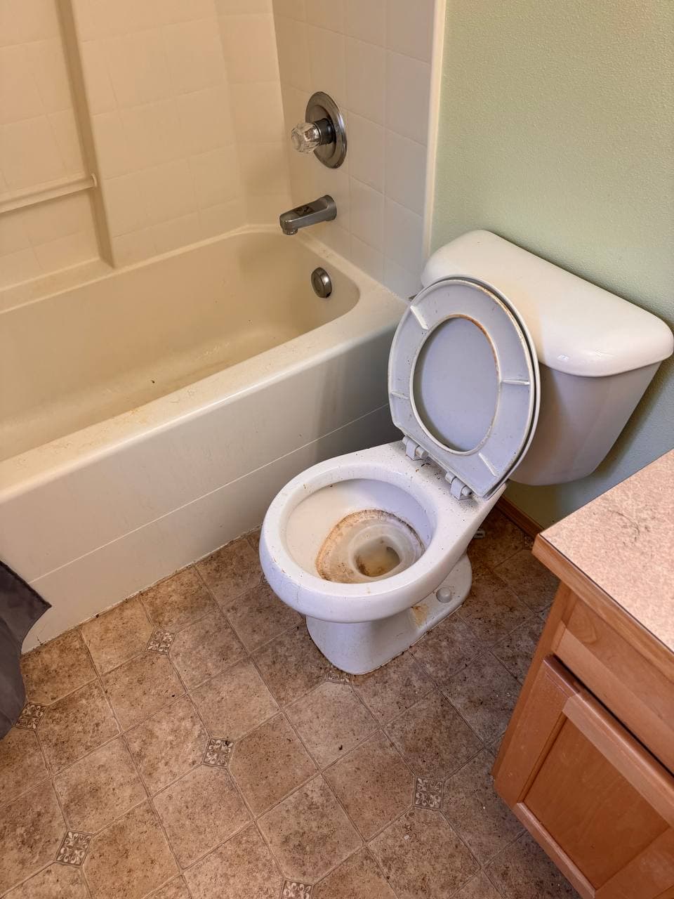 TUB_AND_TOILET - Before